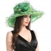 s Organza Church Wide Brim Fancy Tea Xmas Party Wedding Hats Green Flower 759981171727 eb-13284873